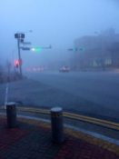 Misty morning walks to school
